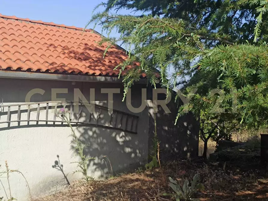 Immagine 39 di Terreno agricolo in vendita  in C.da Filiciusa a Biancavilla