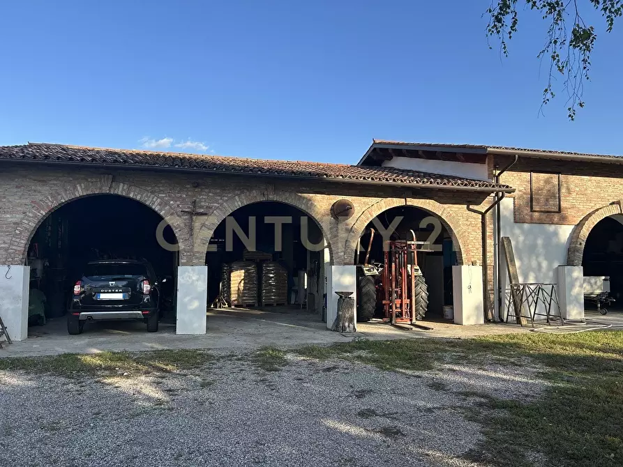 Immagine 38 di Rustico / casale in vendita  in Via Trento 70 a Minerbe