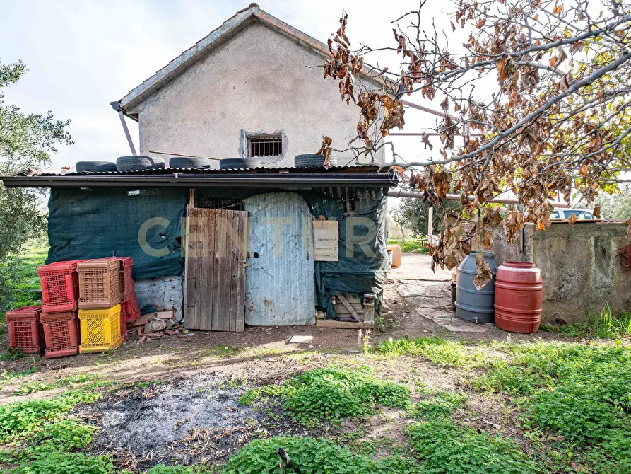 Immagine 8 di Terreno agricolo in vendita  in Contrada San Francesco snc a Paterno'