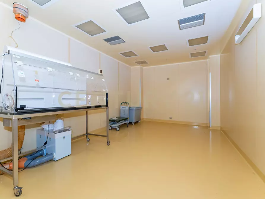 Immagine 53 di Attività artigianale in vendita  in Strada III Mimosa 14 a Catania