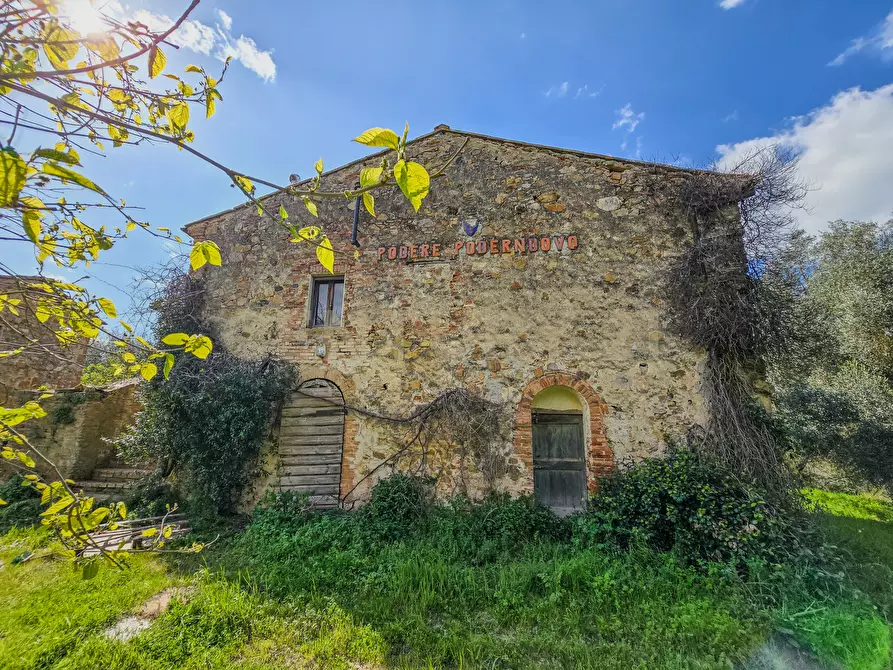Immagine 17 di Rustico / casale in vendita  in Vial podere nuovo snc a Civitella Paganico