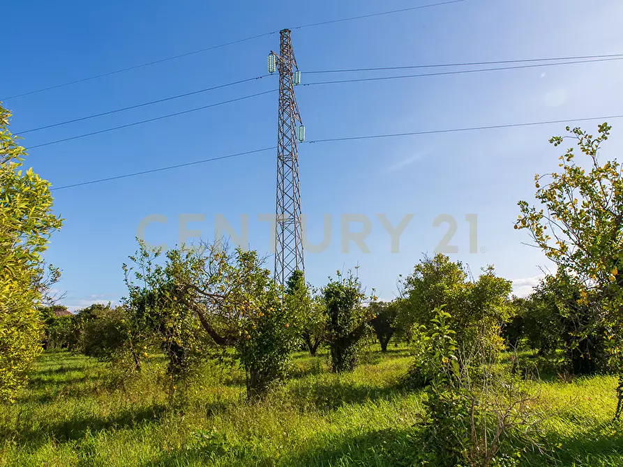 Immagine 16 di Terreno agricolo in vendita  in Via San Piero Patti 108 a Acireale