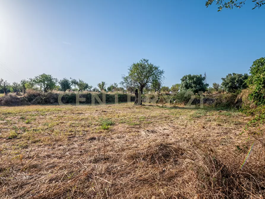 Immagine 20 di Terreno industriale in vendita  in Via per Floridia 11 a Siracusa