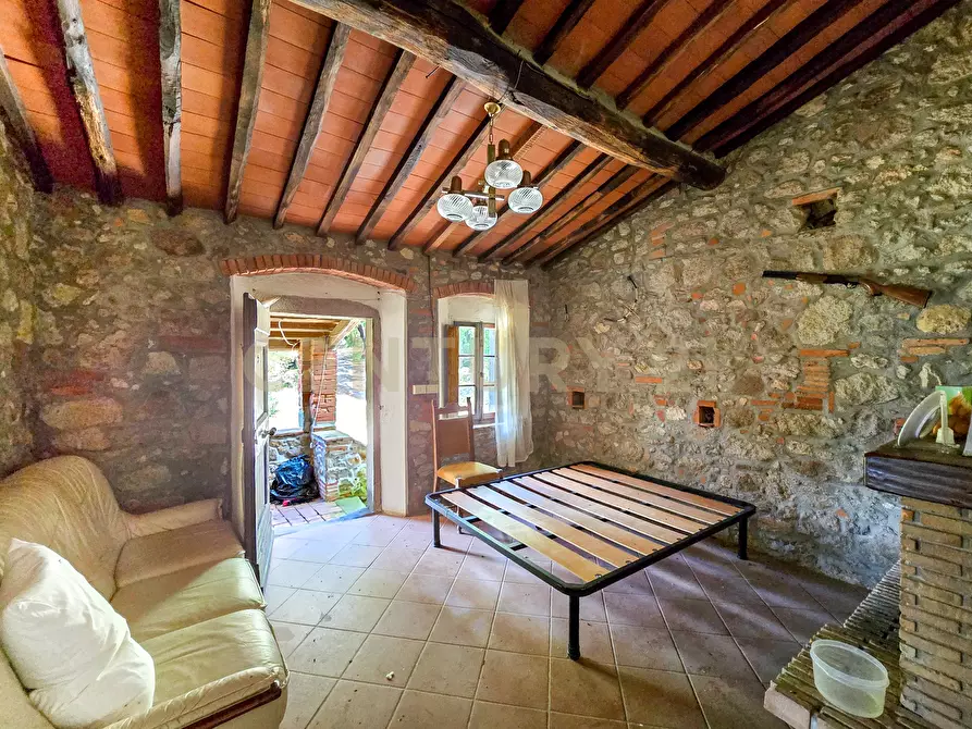 Immagine 12 di Rustico / casale in vendita  in podere le rocchette snc a Roccastrada