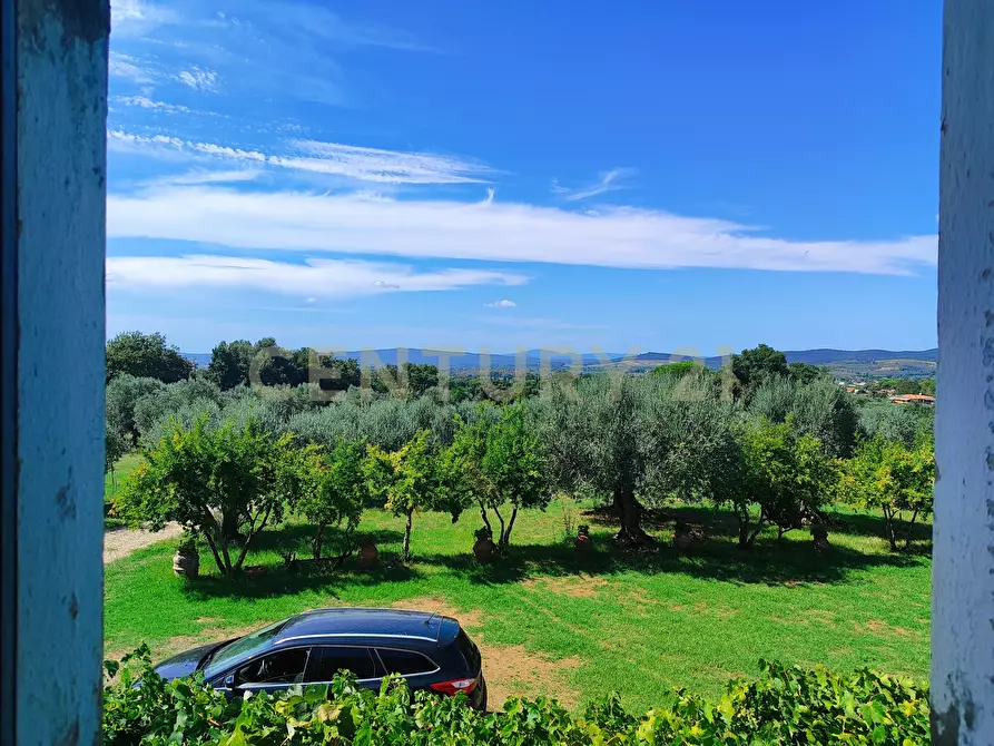 Immagine 13 di Rustico / casale in vendita  in località filare a Gavorrano