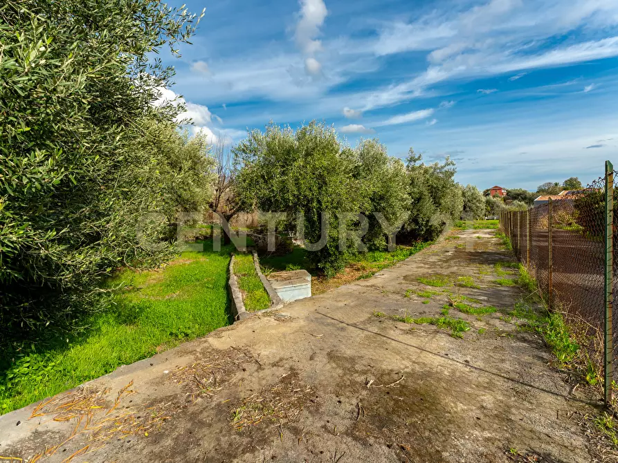Immagine 10 di Terreno agricolo in vendita  in Via Cerza 35 a San Gregorio Di Catania
