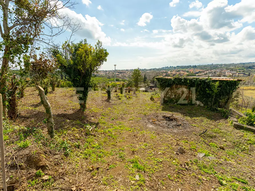 Immagine 7 di Terreno agricolo in vendita  in via giuseppe zinghirino 1 a Giarre