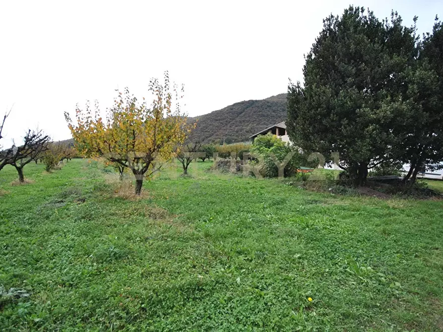 Immagine 16 di Rustico / casale in vendita  in Via Squaranto 6 a Verona