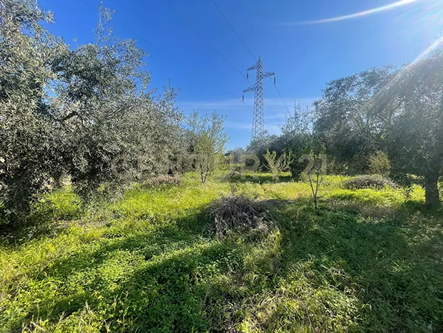 Immagine 25 di Terreno agricolo in vendita  in contrada agnelleria a Belpasso