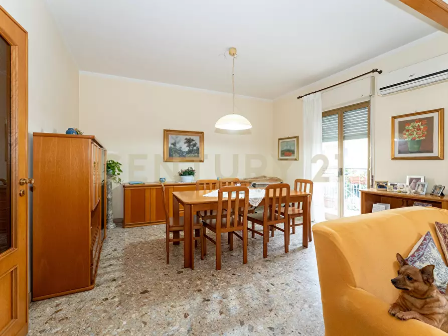 Immagine 21 di Trilocale in vendita  in Via Torino 86 a Catania