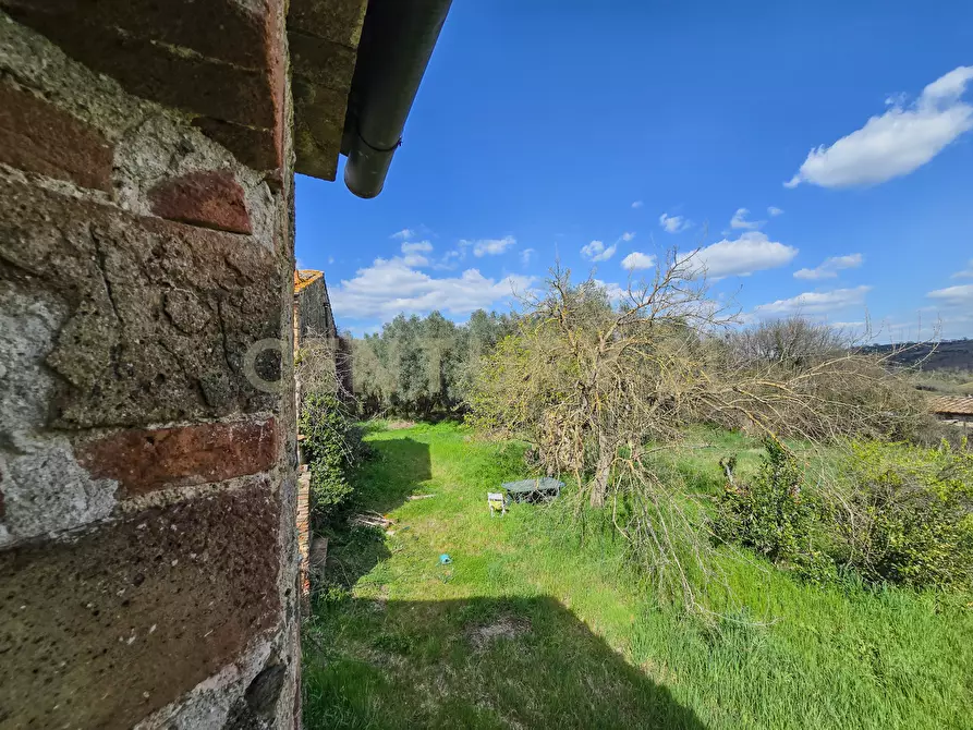 Immagine 7 di Rustico / casale in vendita  in Vial podere nuovo snc a Civitella Paganico