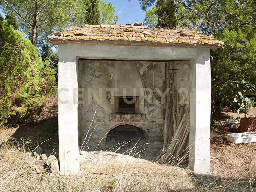 Immagine 35 di Rustico / casale in vendita  in località pian taverna a Cinigiano