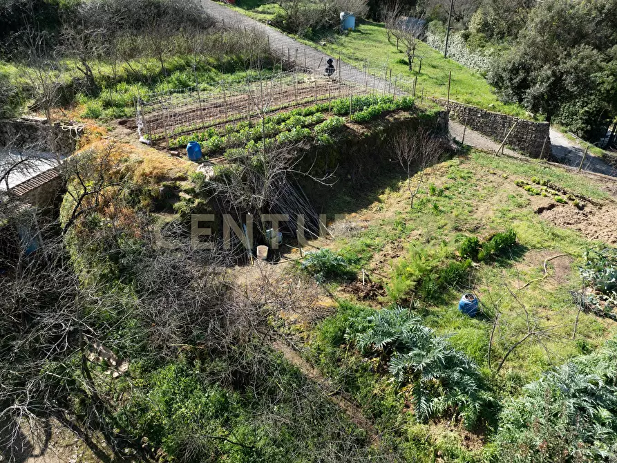 Immagine 16 di Rustico / casale in vendita  in Via del Campone 124 a Monte Argentario