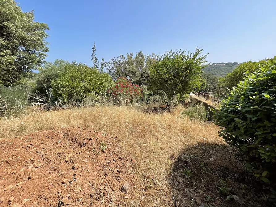 Immagine 17 di Rustico / casale in vendita  in località cannatelli snc a Monte Argentario