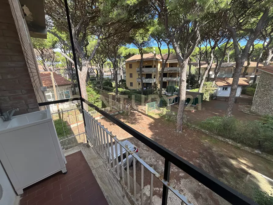 Immagine 11 di Pentalocale in vendita  in via delle ginevre 21 a Grosseto