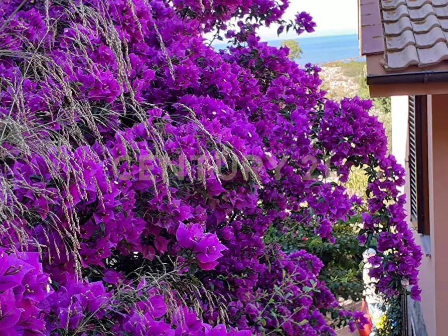 Immagine 15 di Quadrilocale in vendita  in Via dell'Arenella a Isola Del Giglio