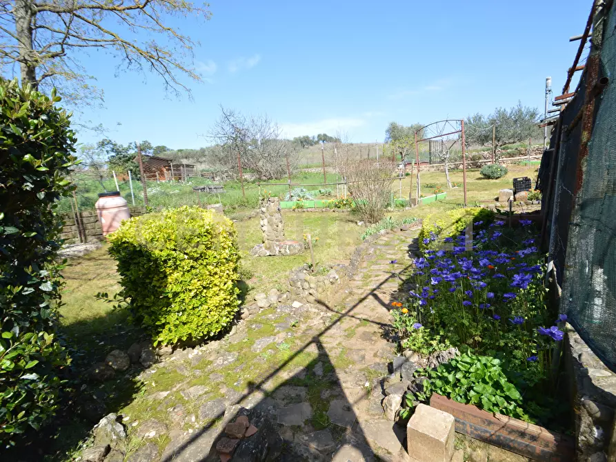 Immagine 29 di Porzione di casa in vendita  in Via delle Case Nuove 1 a Roccastrada