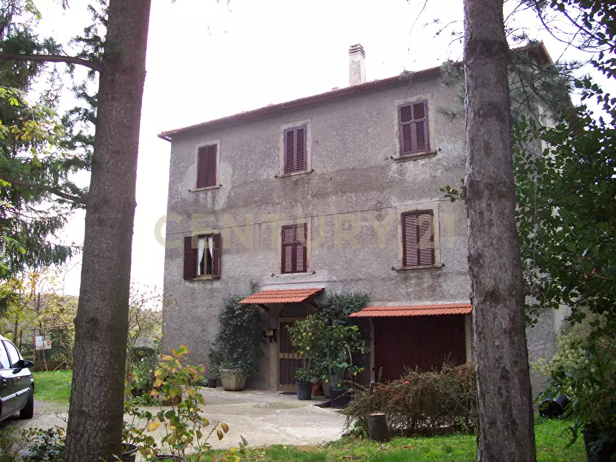 Immagine 2 di Rustico / casale in vendita  in la serra 57 a Arcidosso