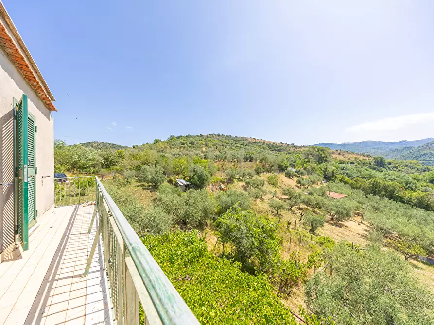 Immagine 2 di Rustico / casale in vendita  in via mercorano 1 a San Gregorio Da Sassola