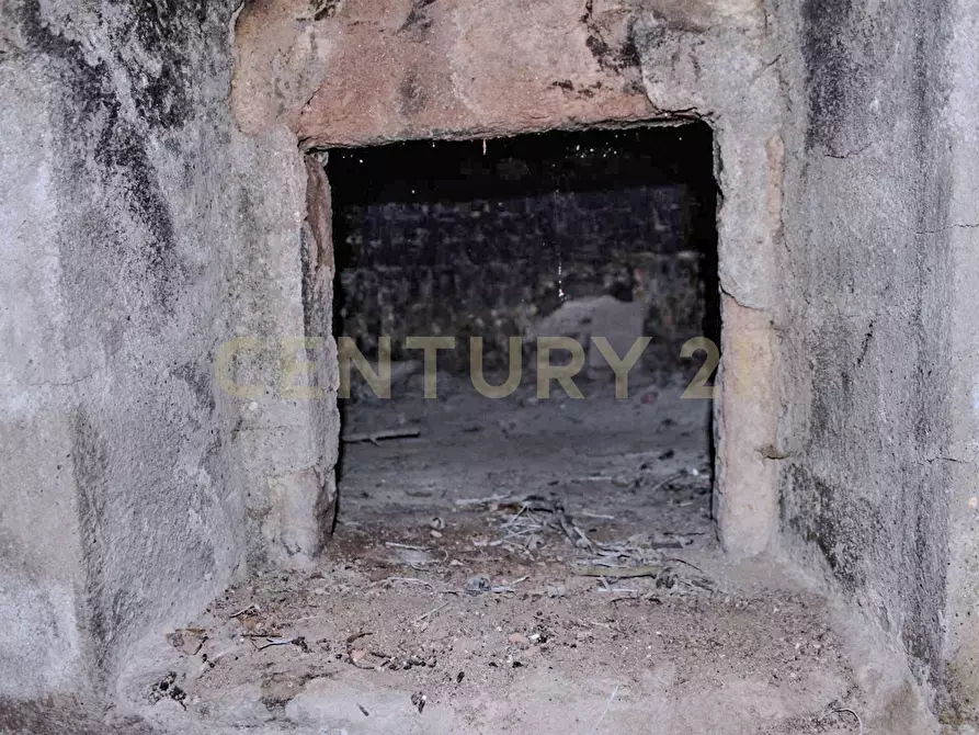 Immagine 13 di Rustico / casale in vendita  in Località Preselle sp 159 a Scansano