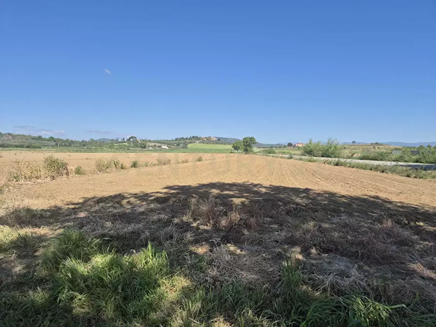 Immagine 6 di Terreno agricolo in vendita  in loc. Badia Vecchia a Castiglione Della Pescaia