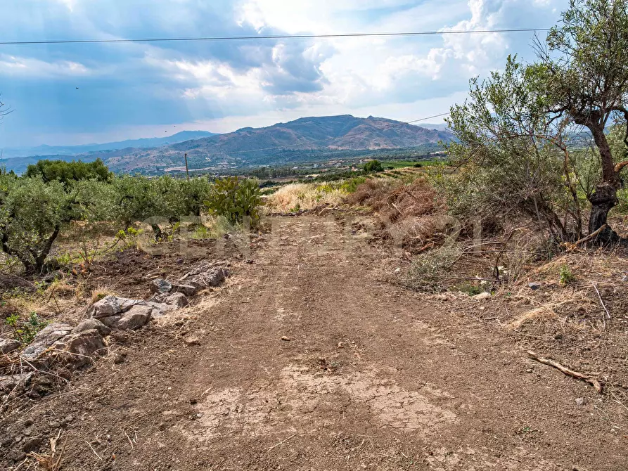 Immagine 43 di Terreno agricolo in vendita  in Via San Leo a Adrano