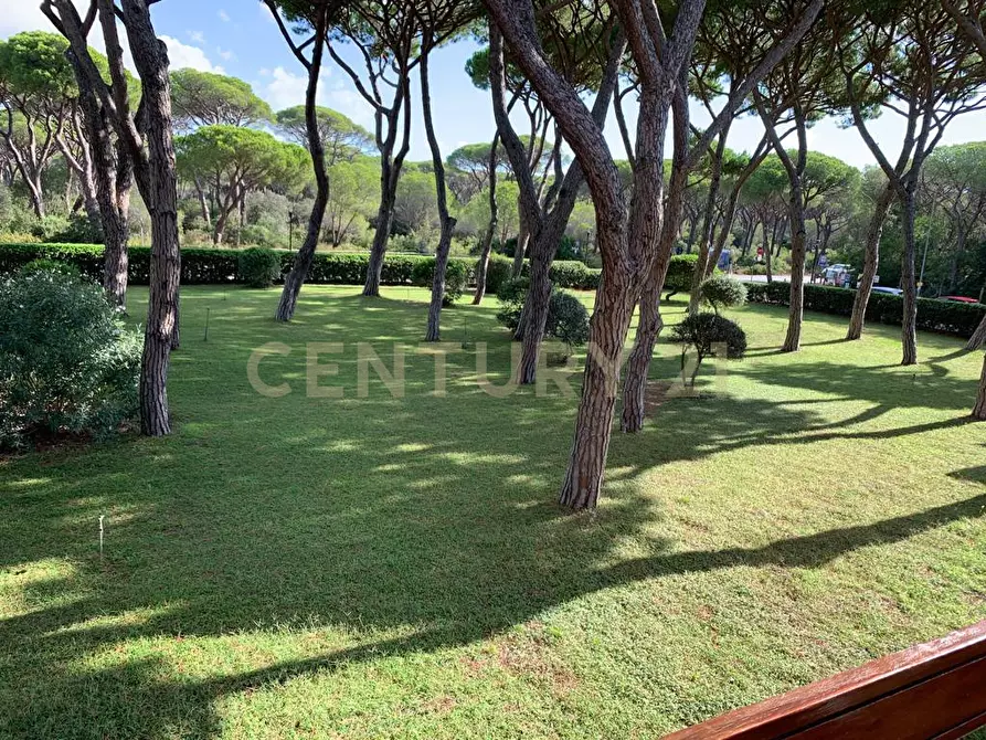 Immagine 41 di Quadrilocale in vendita  a Castiglione Della Pescaia