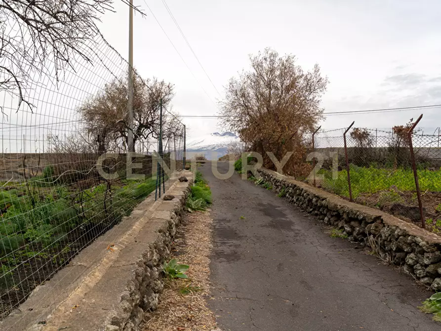 Immagine 7 di Terreno agricolo in vendita  in Via Santa Maria di Licodia a Belpasso