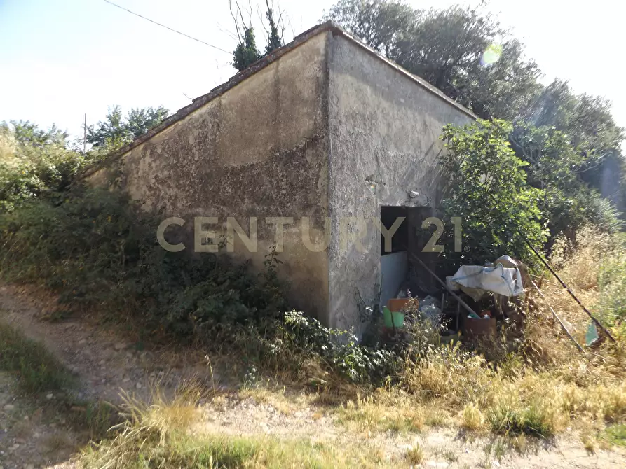 Immagine 3 di Rustico / casale in vendita  in LOCALITA CASETTE a Roccastrada