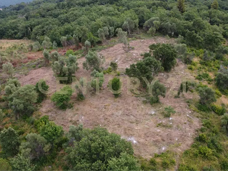 Immagine 12 di Terreno edificabile in vendita  in podere bizzarri a Scarlino