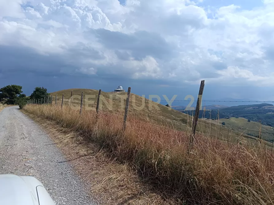 Immagine 4 di Terreno edificabile in vendita  in Località Podere Scarpetta 90 a Radicofani