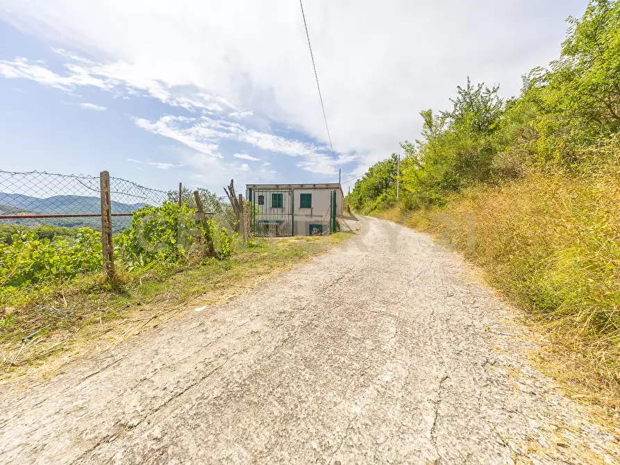 Immagine 35 di Rustico / casale in vendita  in via mercorano 1 a San Gregorio Da Sassola