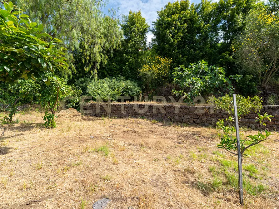 Immagine 31 di Villa in vendita  in Via Dietro Serra 2 a Viagrande