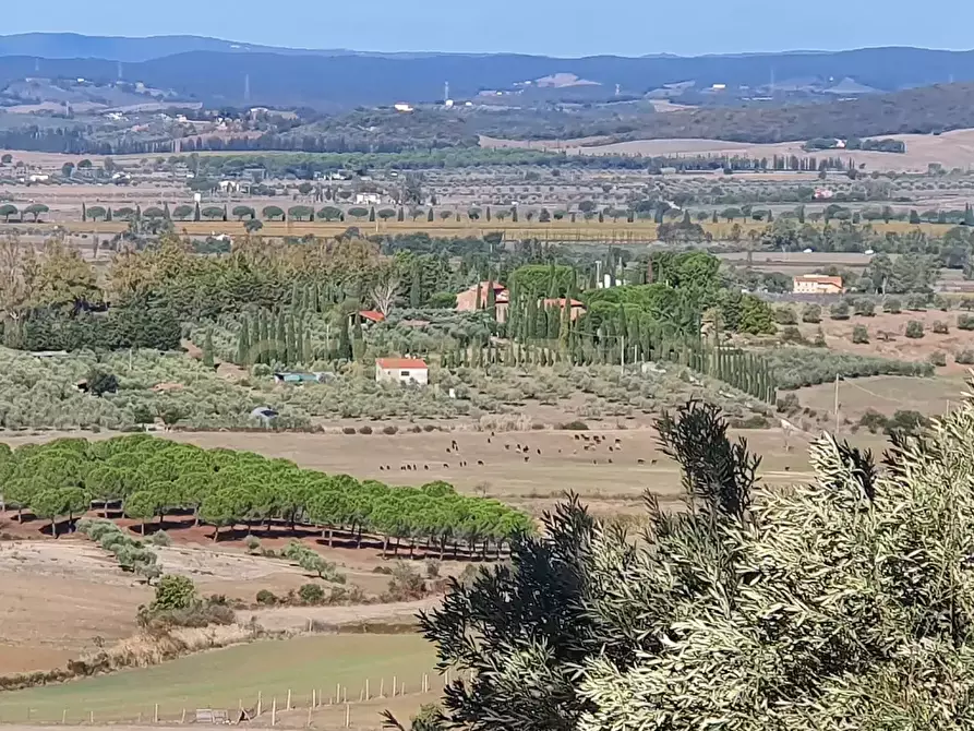 Immagine 37 di Rustico / casale in vendita  in località podere bizzarri a Scarlino