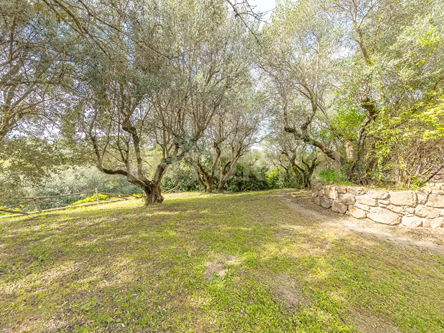 Immagine 44 di Casa indipendente in vendita  in Via di Grotte Maria 67 a Frascati