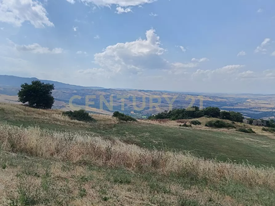 Immagine 8 di Terreno edificabile in vendita  in Località Podere Scarpetta 90 a Radicofani