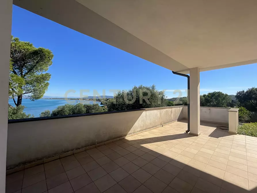 Immagine 8 di Villa in vendita  in località santa liberata a Monte Argentario