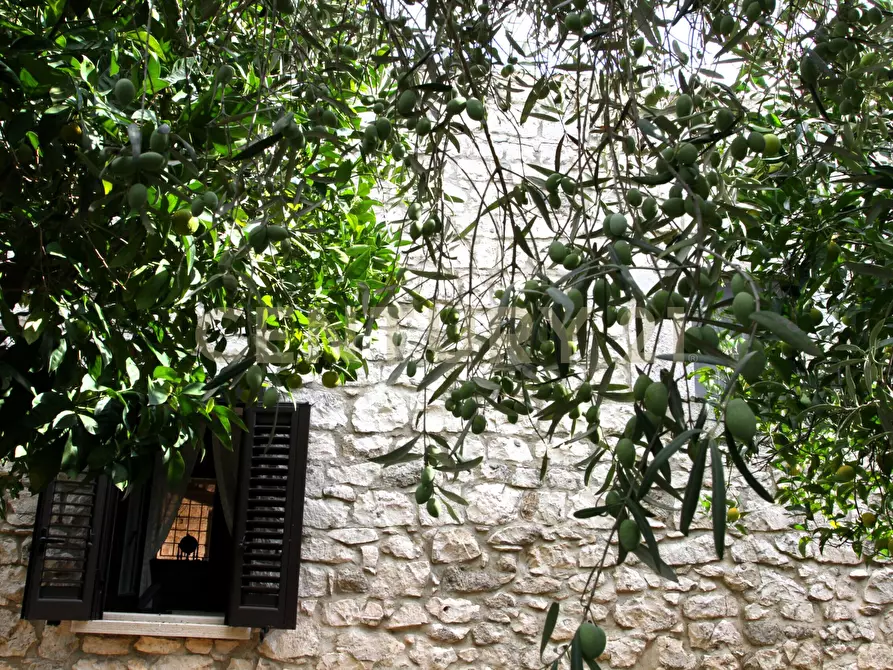 Immagine 15 di Villa in vendita  in Ctr. Pirato Cava Maria 37 a Modica