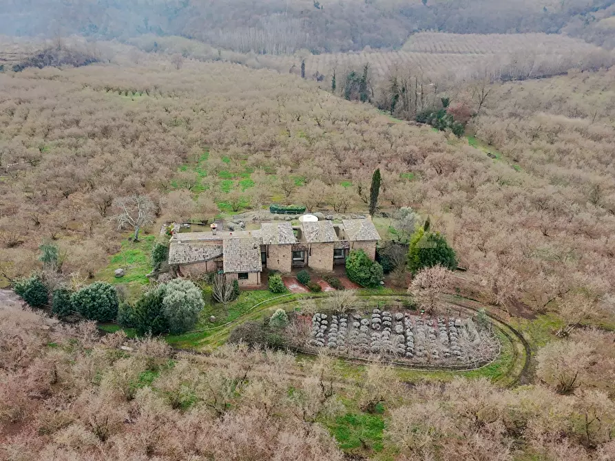 Immagine 8 di Villa in vendita  in Località Campo Rotondo snc a Capranica