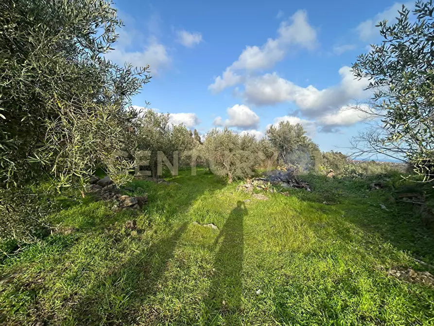 Immagine 38 di Terreno agricolo in vendita  in Via Giovanni Verga 1/A a Misterbianco