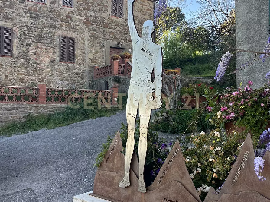 Immagine 18 di Pentalocale in vendita  in Località Poggio Murella 170 a Manciano