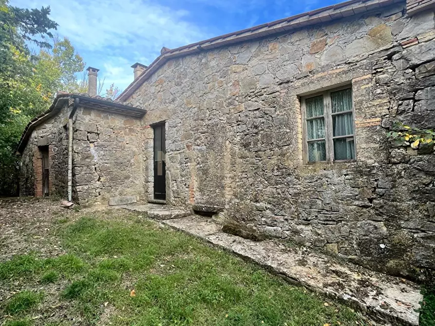 Immagine 11 di Rustico / casale in vendita  in località casa iaconi a Semproniano