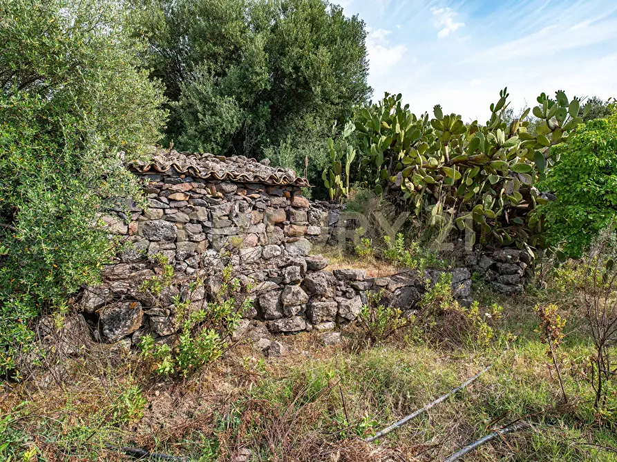 Immagine 56 di Terreno agricolo in vendita  in Via San Leo a Adrano