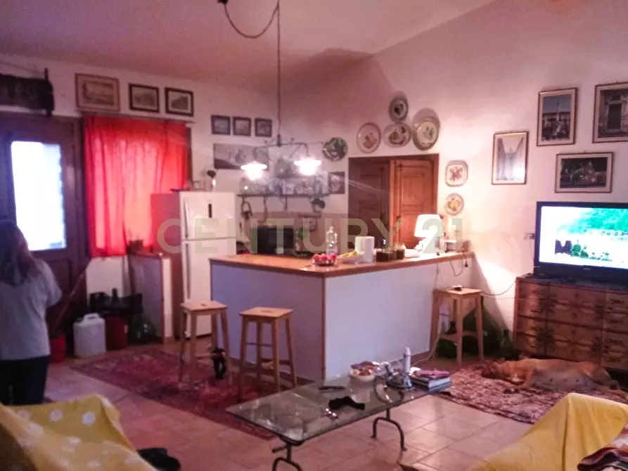 Immagine 20 di Terreno agricolo in vendita  in Contrada Masseria Grande SNC a Centuripe