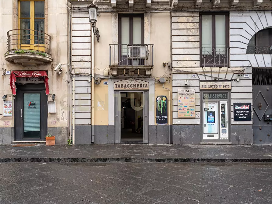 Immagine 3 di Tabaccheria in vendita  in Via Antonino di Sangiuliano 239 a Catania