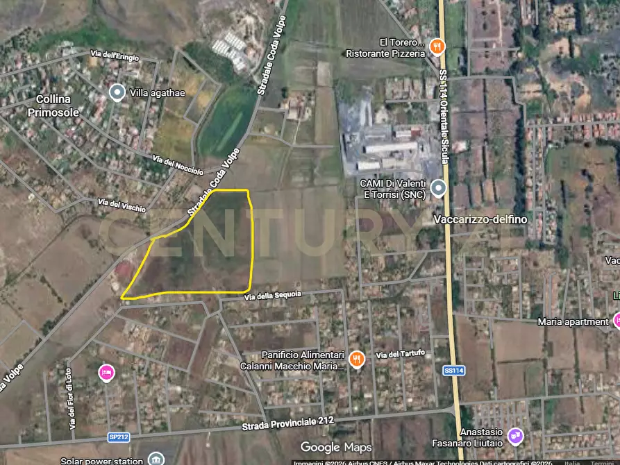 Immagine 6 di Terreno agricolo in vendita  in Via del Fior di Loto 53 a Catania