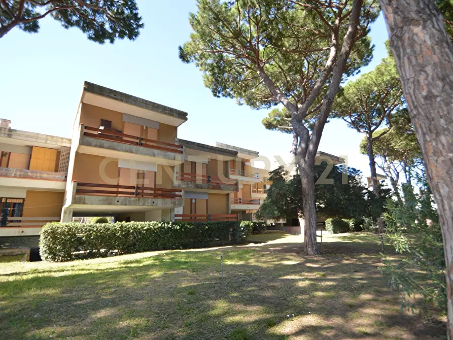 Immagine 10 di Quadrilocale in vendita  a Castiglione Della Pescaia