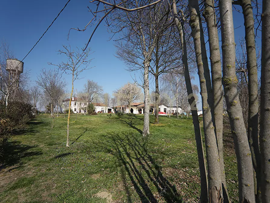 Immagine 33 di Rustico / casale in vendita  in Via Trento 70 a Minerbe