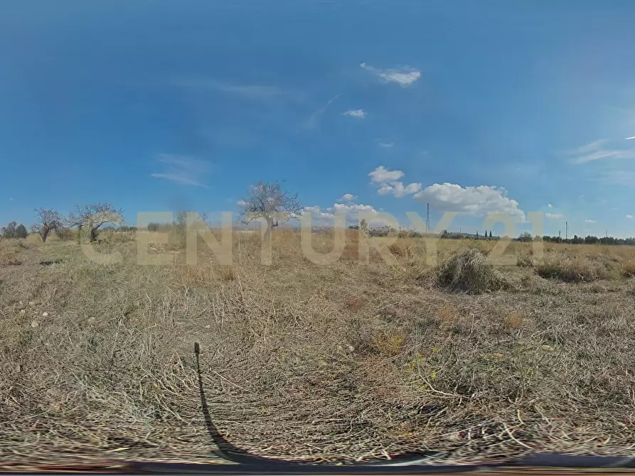 Immagine 26 di Terreno agricolo in vendita  in Via Margarone 5 a Motta Sant'anastasia