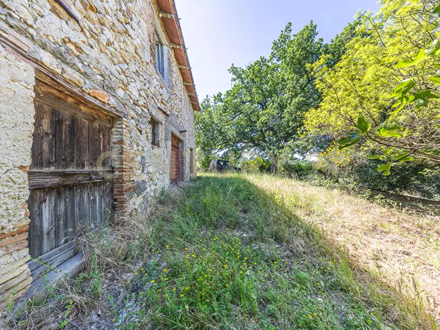 Immagine 21 di Rustico / casale in vendita  in Via Tiberina 384 a Narni